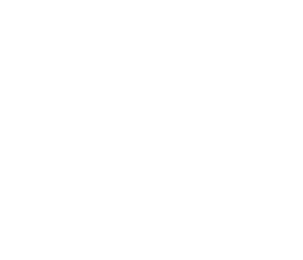 Pure Adrenaline Motorsports